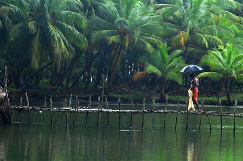 Kerala Backwaters South India Indias Beauty South India Tour