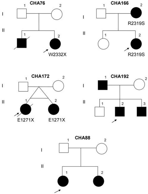 Spectrum Of Chd7 Mutations In 110 Individuals With Charge Syndrome And