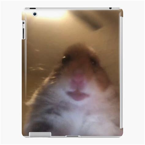 Facetime Hamster Meme Ipad Case And Skin For Sale By James Heath