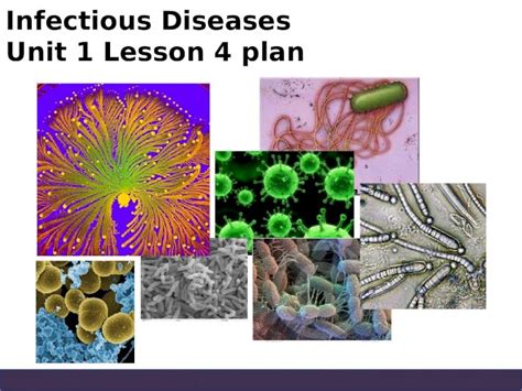 Ppt Infectious Diseases Unit 1 Lesson 4 Plan Dokumentips