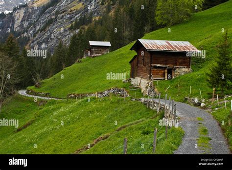 Barns On A Grassy Slope Gimmelwald Switzerland Stock Photo Alamy