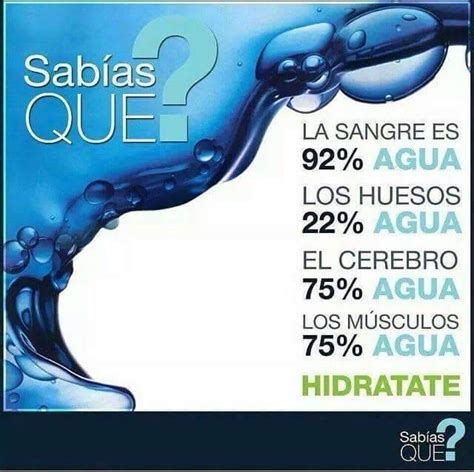 Cuál Es La Importancia Del Agua Cualesfm