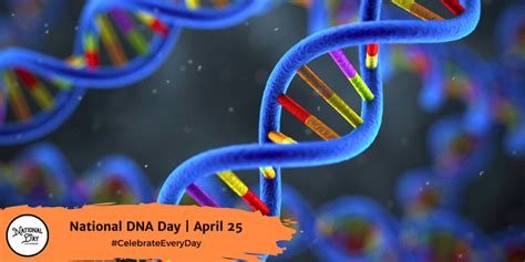 National Dna Day April 25 National Day Calendar