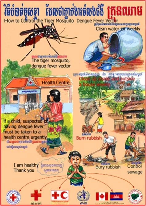 How To Control The Tiger Mosquito Dengue Fever Vector Openi
