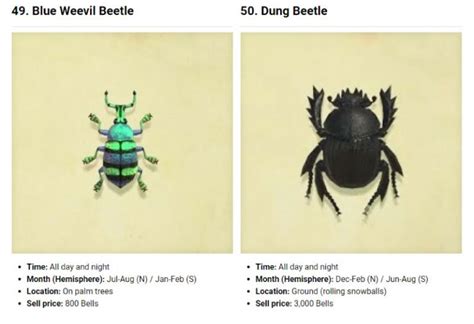 Complete Bugs List Animal Crossing New Horizons Justneko