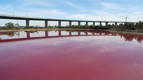 A Lake Turned Pink In Australia Its Not The Only One The New York