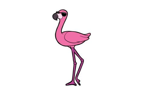 Flamingo With Sunglasses Svg Cut File By Creative Fabrica Crafts