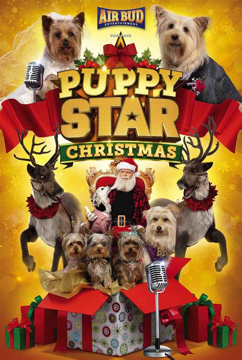 Golden receiver (1998) and air bud: Puppy Star Christmas | Pup Star Wiki | Fandom