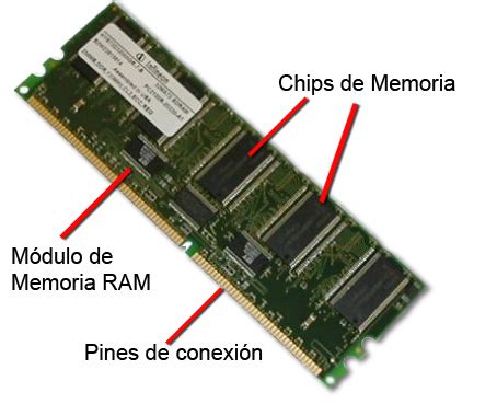 Memoria RAM Tipos características y usos 4 Partes de una Memoria RAM