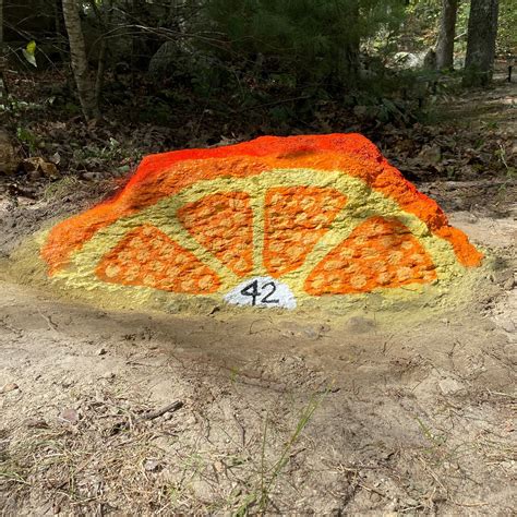 BOWDISH LAKE CAMPING AREA (GLOCESTER, RI): 28 fotos e avaliações