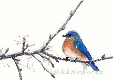Watercolor Bird Bluebird Art Print Etsy In 2021 Blue Bird Art