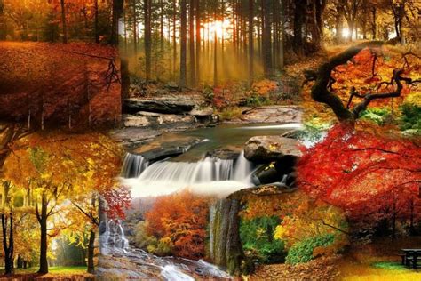 Fall Wallpaper ·① Download Free Full Hd Backgrounds For Desktop