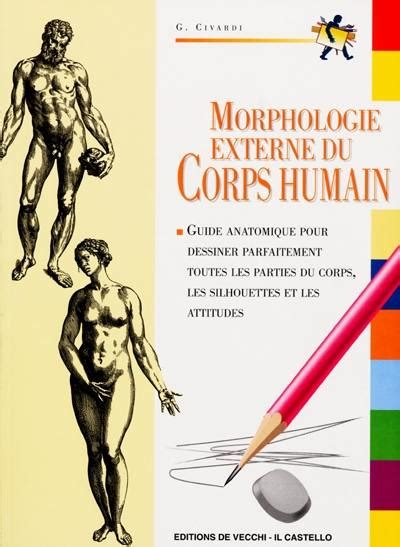 Livre Morphologie Du Corps Humain Guide Danatomie Pour Dessiner
