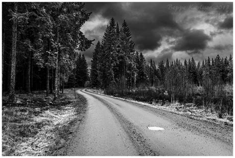 Forest Road Landscape And Rural Photos Beppe Karlsson