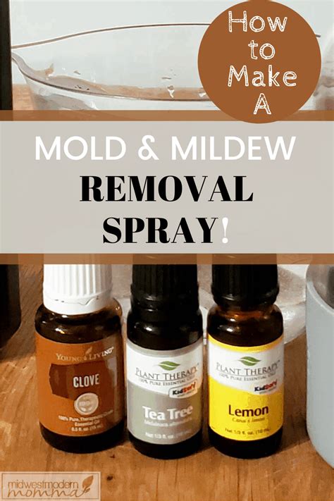 Homemade Mildew Removal Spray Mold Too Midwest Modern Momma