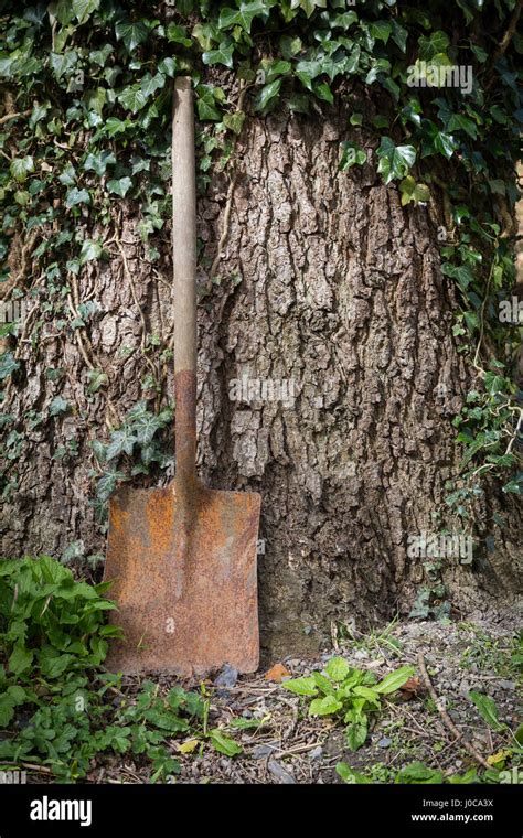 Old Spade Hi Res Stock Photography And Images Alamy