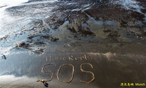 See more of 珍愛桃園藻礁 on facebook. 從被忽視的耗電量談桃園的用電願景 | 雲論 | ETtoday新聞雲