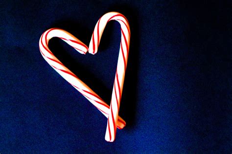 Candy Canes Christmas Photo 2948001 Fanpop