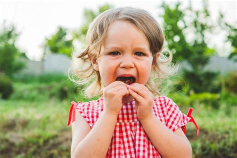 Comprende Y Educa A Tu Hijo De 2 Años Etapa Infantil