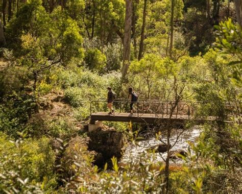 Heritage Walking Trails In Nsw National Trust