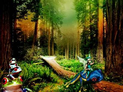 Enchanted Forest Backgrounds Wallpapers Frog Wallpapersafari