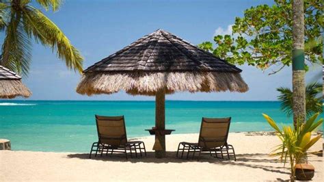 Island Beach Umbrella Palm Trees Sand Sea Tropical