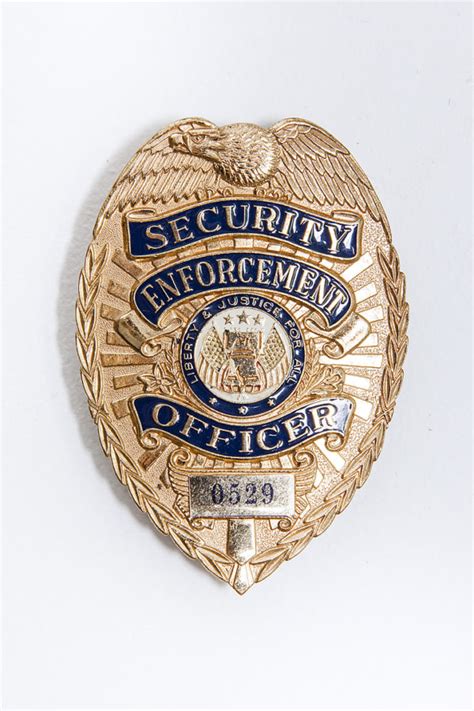 American Security Enforcement Officer Badge Thunder Thighs Costumes Ltd