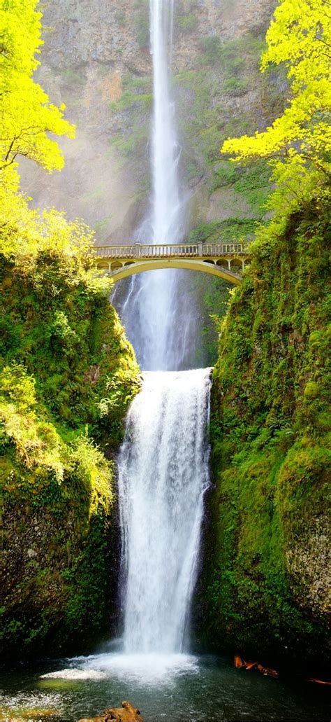 11 Most Impressive Waterfalls In The Us Oregon Road Trip Oregon