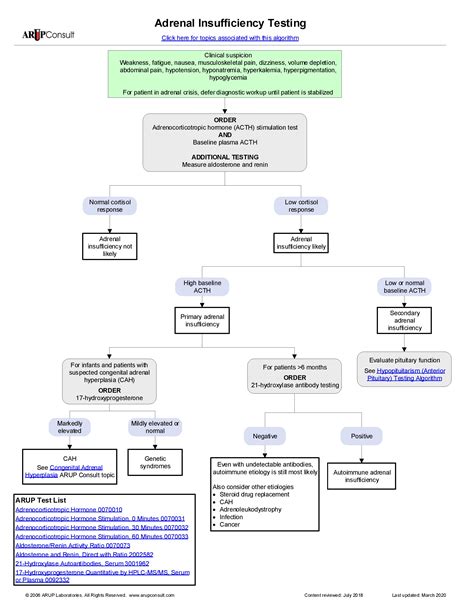 Adrenal Insufficiency Differential Diagnosis Algorithm Clinical