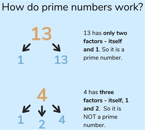 What Is A Prime Number Maths Matters