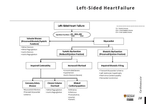 Left Sided Heart Failure Blackbook Blackbook