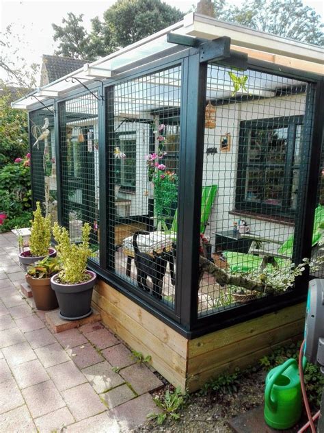 A Beautiful Catio For Indoor Cats Outdoor Cat House Patio Cat