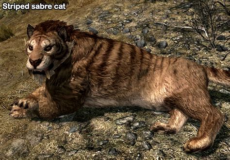 Better Khajiit Male Body Texture For Sos Body Skyrim Adult Mods