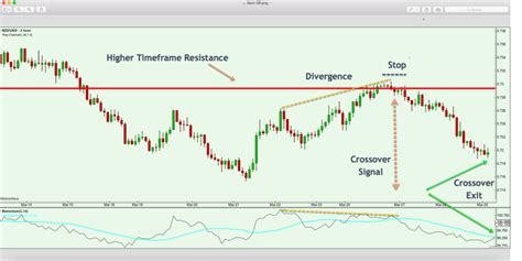 Understanding And Trading With The Momentum Indicator Forex Training