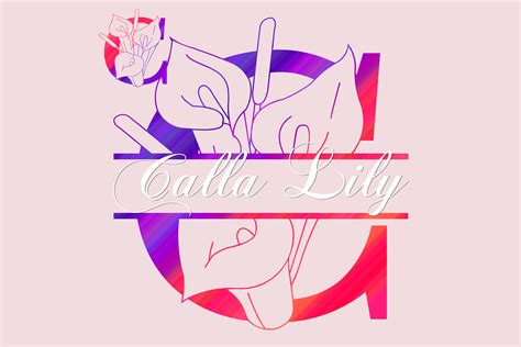 Calla Lily Split Font By Wadlen Creative Fabrica