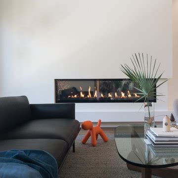 Shiplap Linear Fireplace Photos Ideas Houzz