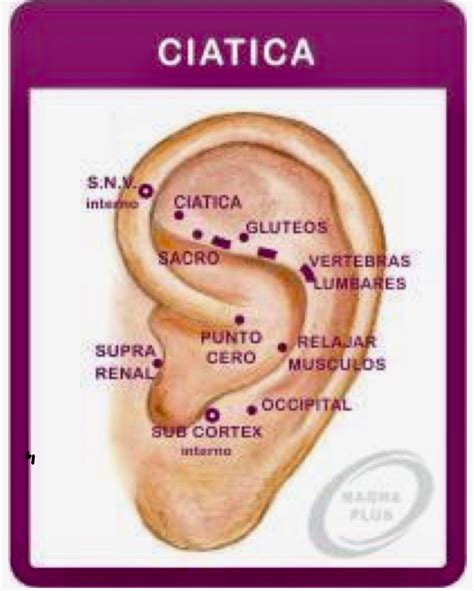 Ear Acupressure Points Acupressure Treatment Acupuncture Points Body