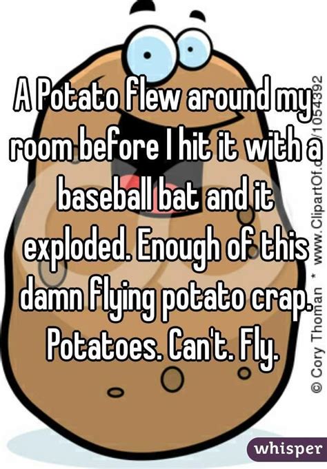 A potato flew around my room june 30, 2021 10:34 pm. A Potato Flew Around My Room / A Potato Flew Around The ...