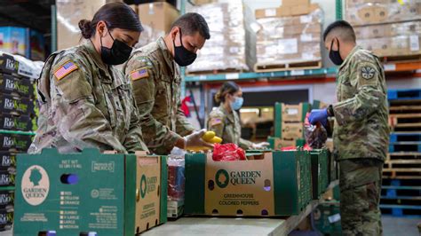 Pandemic Had Wide Impact On Soldiers Families Ausa