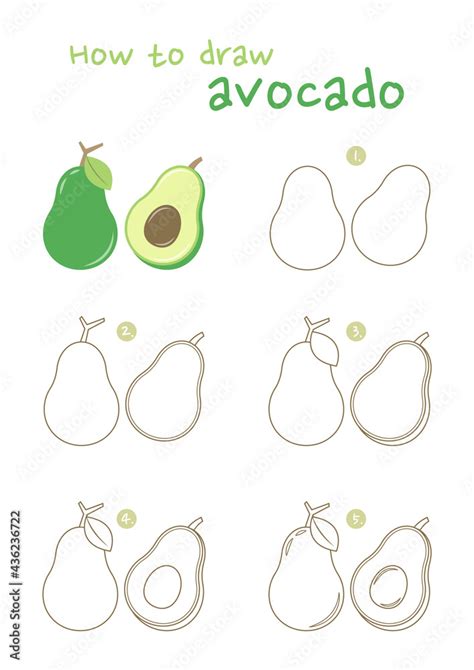 Stockvektorbilden How To Draw An Avocado Vector Illustration Draw