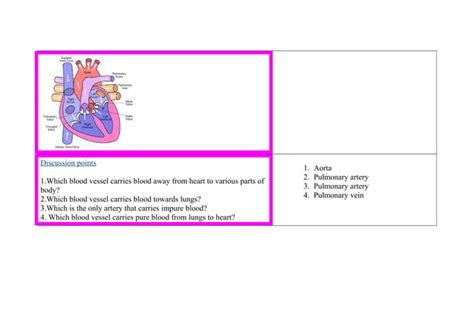 Innovative Lesson Plan Structure Of Heart