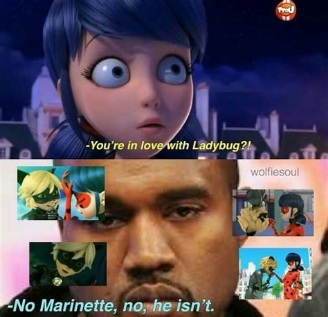 Pin By B E A On Miraculous Miraculous Ladybug Memes Miraculous