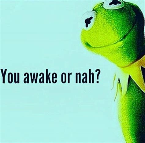 Download Kermit The Frog Awake Wallpaper