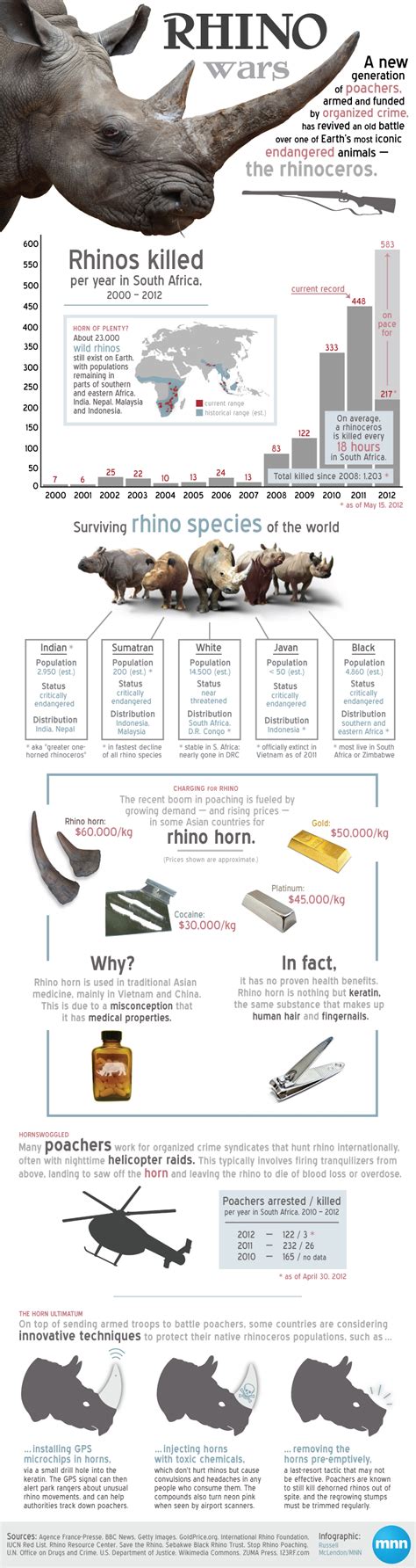 Mnncom›earth Matters› Animals Infographic Understanding The Rhino