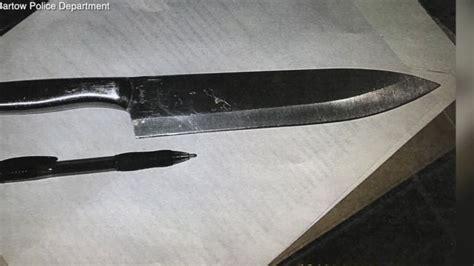 2 Florida Middle School Girls Had Knives Plotted To Cut Up Classmates