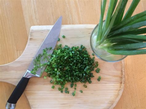 Green onion pancakes are a savory chinese flatbread simply made with flour, water, salt, and chopped scallions. How to Store Green Onions in the Fridge So They Don't Wilt