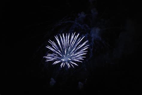 Fireworks Firework Blue Free Photo On Pixabay
