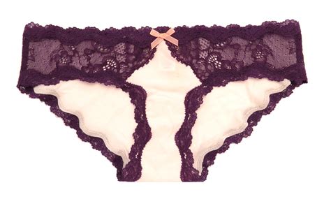 victoria s secret dream angels lace trim hipkini panty panties ebay