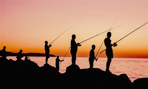 ¿por Qué La Pesca Hace Que Los Peces Sean Cada Vez Más Pequeños