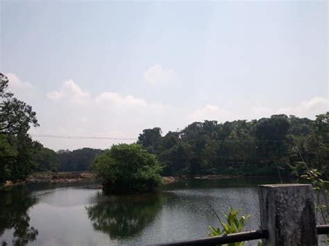 May 7, 2021 surendra singh alert result, exam results, hindi news. Travel to the 7 Beautiful Rivers of Kerala - Nativeplanet